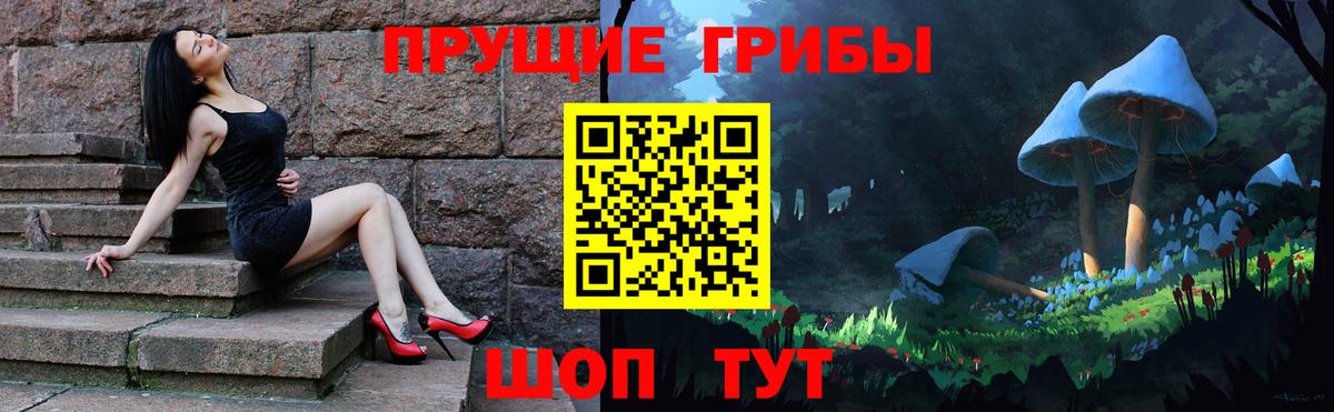 Тольятти  Псилоцибиновые грибы Cubensis  Вход с VPN 